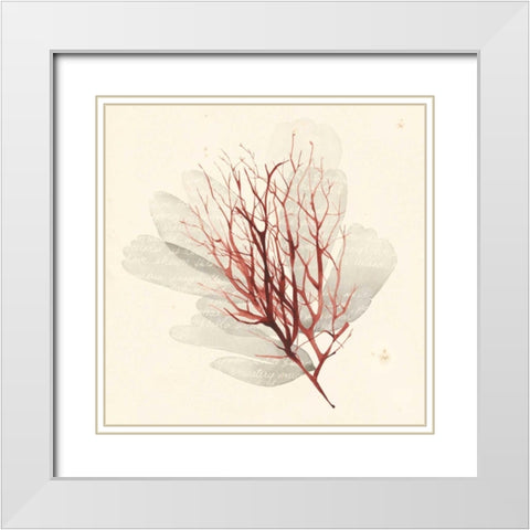 Vivid Algae II White Modern Wood Framed Art Print with Double Matting by Popp, Grace