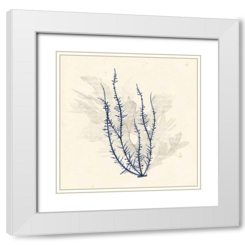Vivid Algae III White Modern Wood Framed Art Print with Double Matting by Popp, Grace