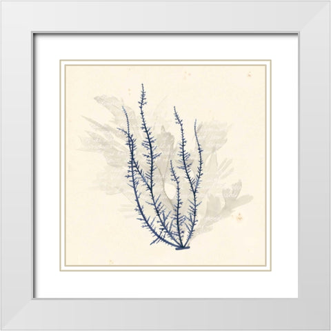 Vivid Algae III White Modern Wood Framed Art Print with Double Matting by Popp, Grace