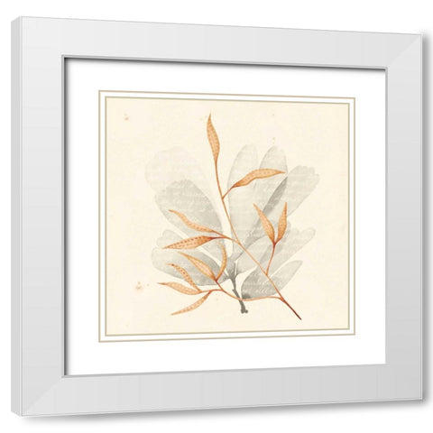 Vivid Algae V White Modern Wood Framed Art Print with Double Matting by Popp, Grace