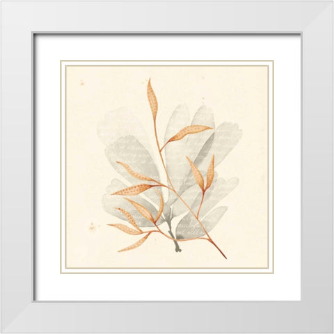 Vivid Algae V White Modern Wood Framed Art Print with Double Matting by Popp, Grace