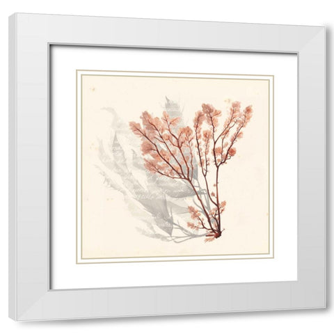 Vivid Algae VI White Modern Wood Framed Art Print with Double Matting by Popp, Grace