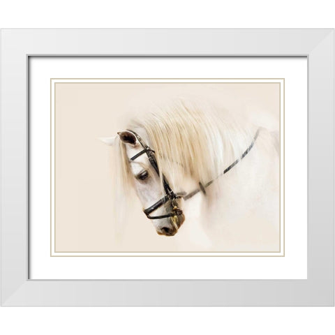 Purebred II White Modern Wood Framed Art Print with Double Matting by Sturgeon, Ozana