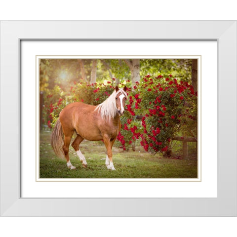 Flower Frolick IV White Modern Wood Framed Art Print with Double Matting by Sturgeon, Ozana