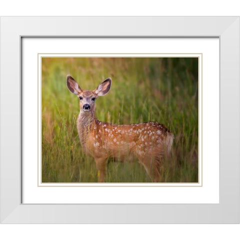 Deer Watch IV White Modern Wood Framed Art Print with Double Matting by Sturgeon, Ozana