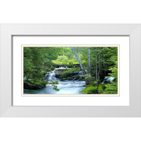 Enchanted Forest White Modern Wood Framed Art Print with Double Matting by McLoughin, James