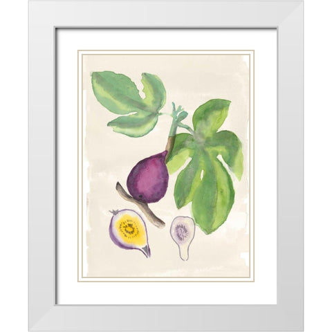 Watercolor Fruit I White Modern Wood Framed Art Print with Double Matting by McCavitt, Naomi