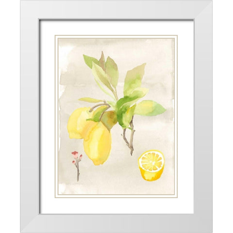 Watercolor Fruit II White Modern Wood Framed Art Print with Double Matting by McCavitt, Naomi