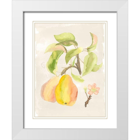 Watercolor Fruit III White Modern Wood Framed Art Print with Double Matting by McCavitt, Naomi