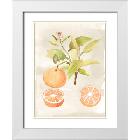 Watercolor Fruit V White Modern Wood Framed Art Print with Double Matting by McCavitt, Naomi