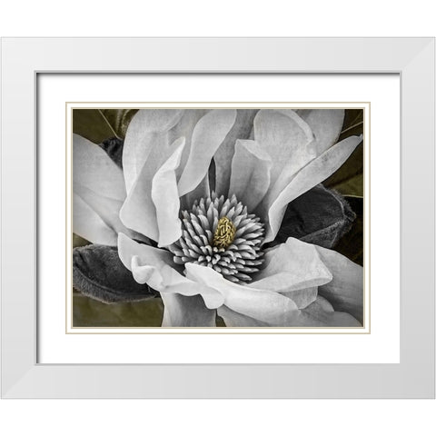 Custom Classic Magnolia II (ASH) White Modern Wood Framed Art Print with Double Matting by Perry, Rachel