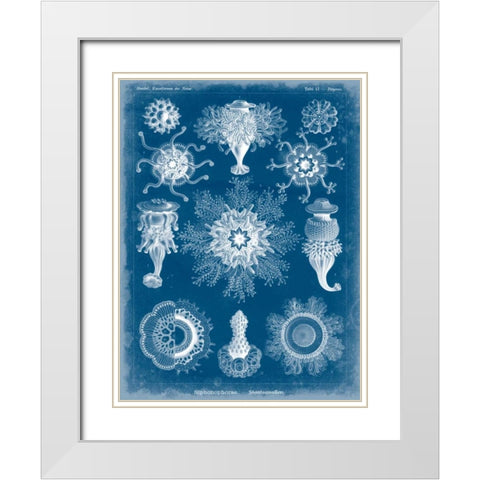 Marine Blueprint I White Modern Wood Framed Art Print with Double Matting by Vision Studio