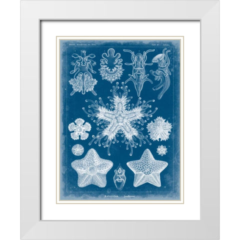 Marine Blueprint III White Modern Wood Framed Art Print with Double Matting by Vision Studio