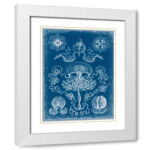 Marine Blueprint IV White Modern Wood Framed Art Print with Double Matting by Vision Studio