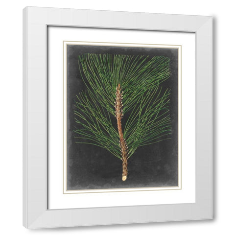 Dramatic Pine I White Modern Wood Framed Art Print with Double Matting by Vision Studio