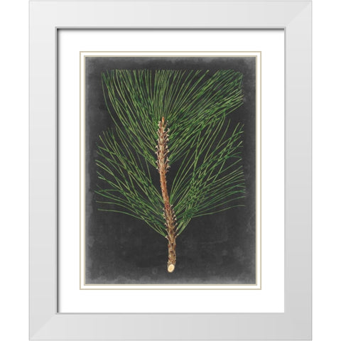 Dramatic Pine I White Modern Wood Framed Art Print with Double Matting by Vision Studio