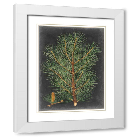 Dramatic Pine II White Modern Wood Framed Art Print with Double Matting by Vision Studio