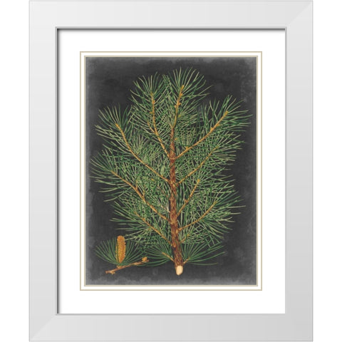 Dramatic Pine II White Modern Wood Framed Art Print with Double Matting by Vision Studio