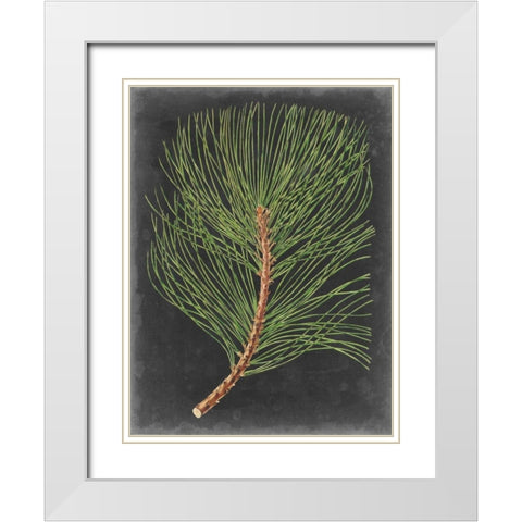 Dramatic Pine III White Modern Wood Framed Art Print with Double Matting by Vision Studio