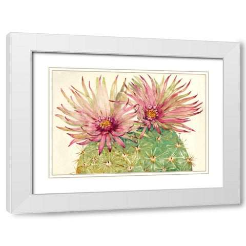 Cactus Blossoms I White Modern Wood Framed Art Print with Double Matting by OToole, Tim