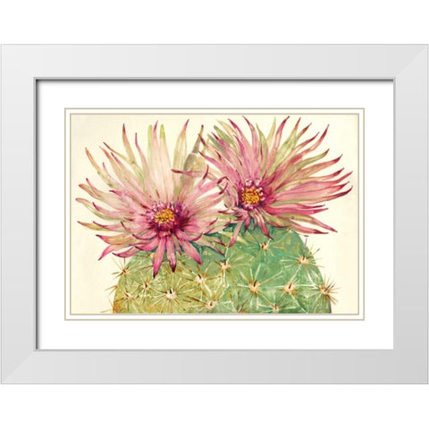 Cactus Blossoms I White Modern Wood Framed Art Print with Double Matting by OToole, Tim