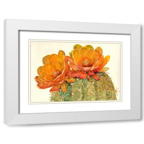 Cactus Blossoms II White Modern Wood Framed Art Print with Double Matting by OToole, Tim