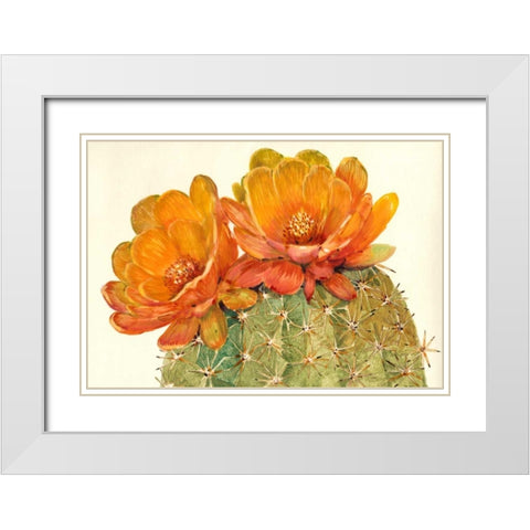 Cactus Blossoms II White Modern Wood Framed Art Print with Double Matting by OToole, Tim