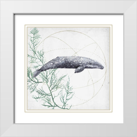 Love of the Sea III White Modern Wood Framed Art Print with Double Matting by Popp, Grace