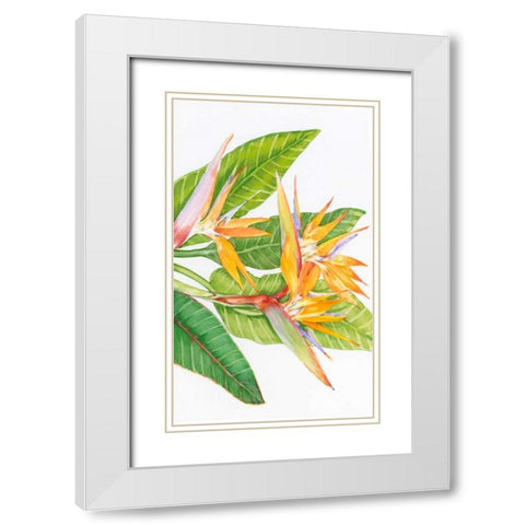 Exotic Flowers II White Modern Wood Framed Art Print with Double Matting by OToole, Tim