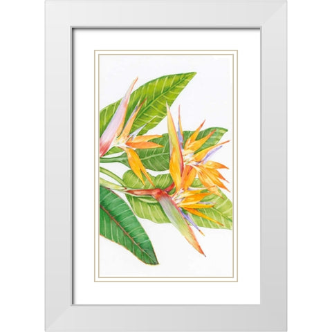 Exotic Flowers II White Modern Wood Framed Art Print with Double Matting by OToole, Tim