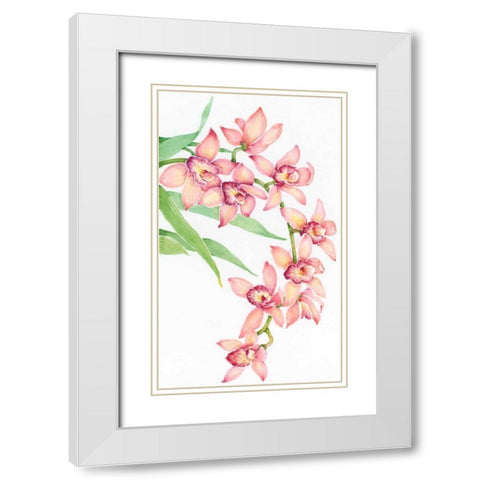 Exotic Flowers III White Modern Wood Framed Art Print with Double Matting by OToole, Tim