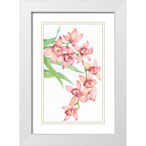 Exotic Flowers III White Modern Wood Framed Art Print with Double Matting by OToole, Tim