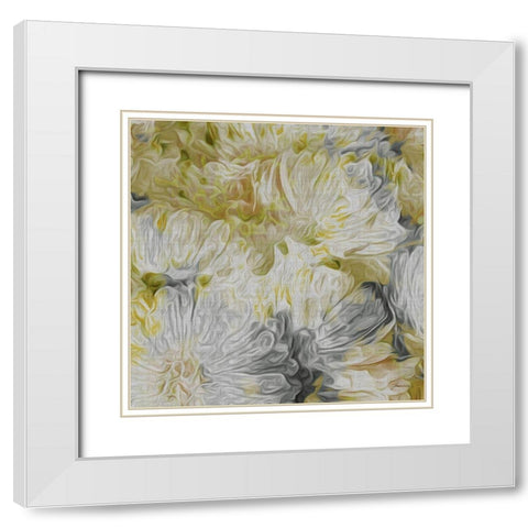 Custom Mums in Sun I (ASH) White Modern Wood Framed Art Print with Double Matting by Burghardt, James