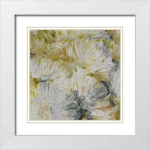 Custom Mums in Sun I (ASH) White Modern Wood Framed Art Print with Double Matting by Burghardt, James