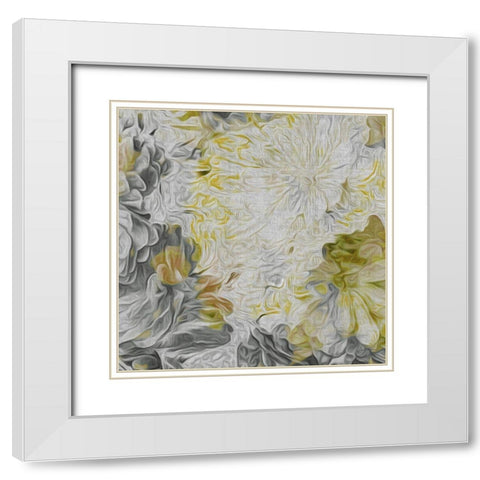 Custom Mums in Sun IV (ASH) White Modern Wood Framed Art Print with Double Matting by Burghardt, James