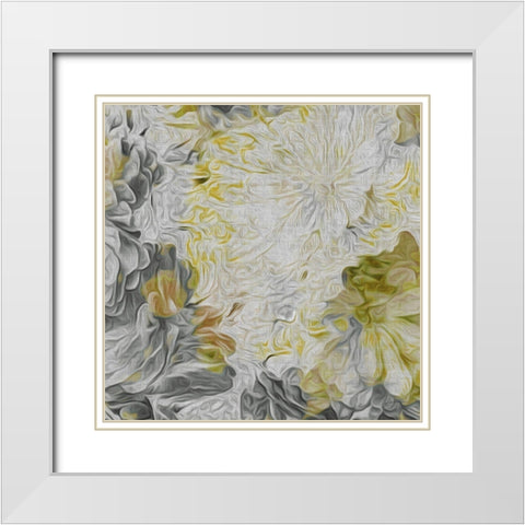 Custom Mums in Sun IV (ASH) White Modern Wood Framed Art Print with Double Matting by Burghardt, James