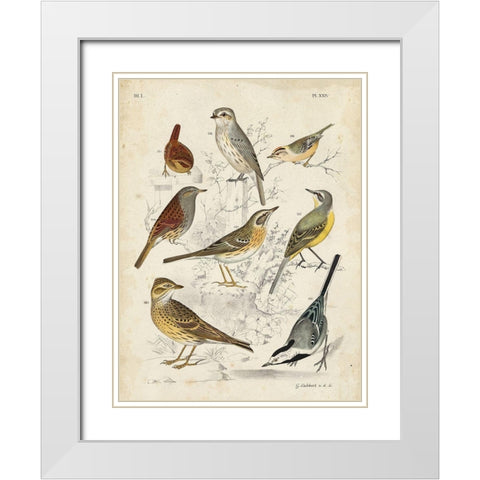Custom Gathering of Birds I (ASH) White Modern Wood Framed Art Print with Double Matting by Lubbert, G.