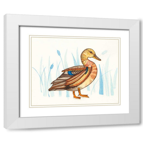 Wetland Mallard II White Modern Wood Framed Art Print with Double Matting by Ewer, Rebekah