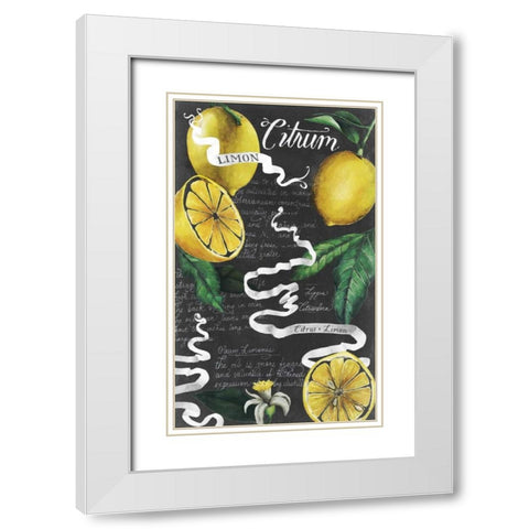 Chalkboard Citrus I White Modern Wood Framed Art Print with Double Matting by Popp, Grace