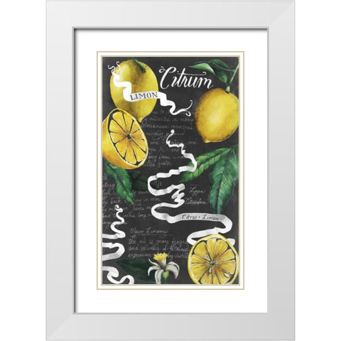 Chalkboard Citrus I White Modern Wood Framed Art Print with Double Matting by Popp, Grace