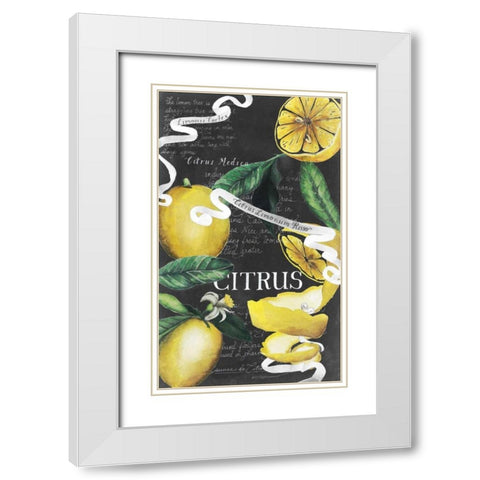 Chalkboard Citrus II White Modern Wood Framed Art Print with Double Matting by Popp, Grace
