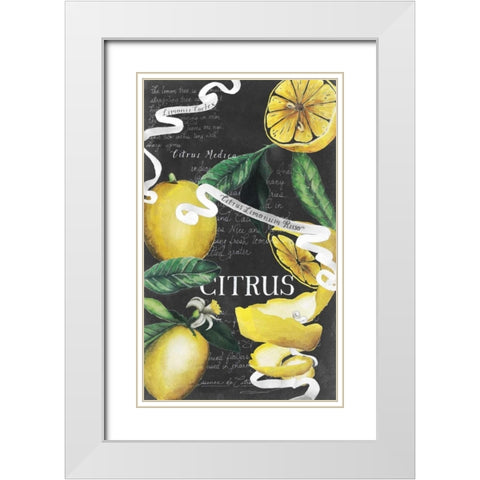 Chalkboard Citrus II White Modern Wood Framed Art Print with Double Matting by Popp, Grace