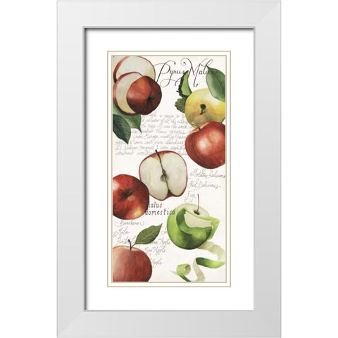 Pyrus Study II White Modern Wood Framed Art Print with Double Matting by Popp, Grace