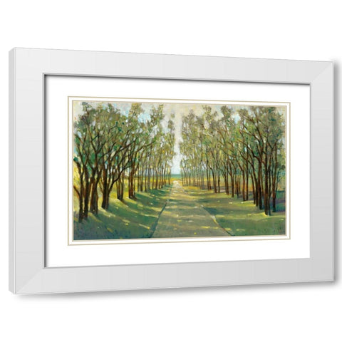 Forest Path White Modern Wood Framed Art Print with Double Matting by OToole, Tim