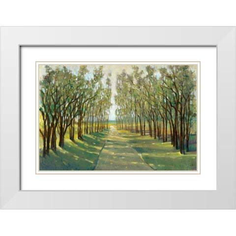 Forest Path White Modern Wood Framed Art Print with Double Matting by OToole, Tim