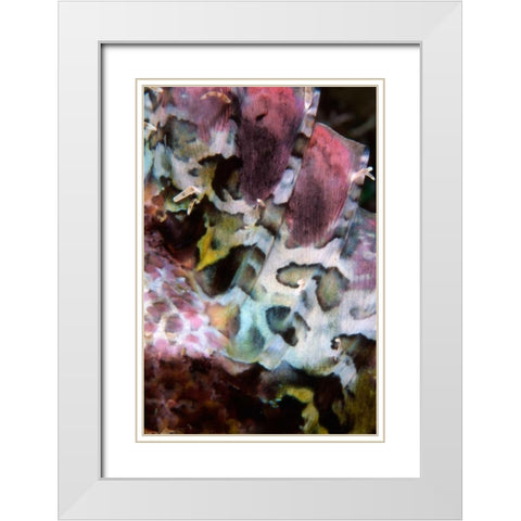 Pink Marvel - Indonesia White Modern Wood Framed Art Print with Double Matting by Factor, Beverly
