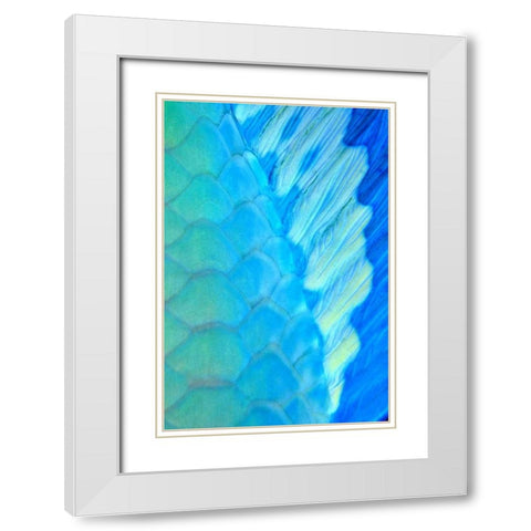 Solace - La Paz, Mexico White Modern Wood Framed Art Print with Double Matting by Factor, Beverly