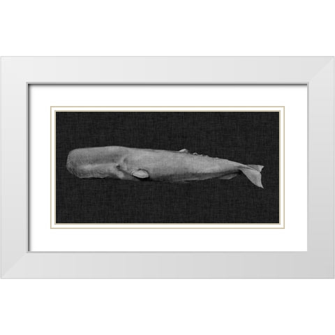 Inverted Whale I White Modern Wood Framed Art Print with Double Matting by Popp, Grace