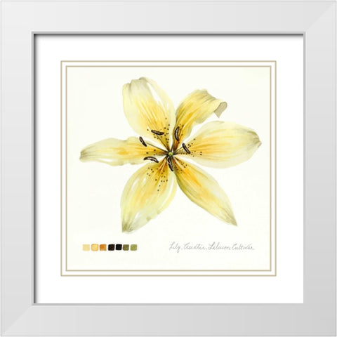 Lilium I White Modern Wood Framed Art Print with Double Matting by Popp, Grace