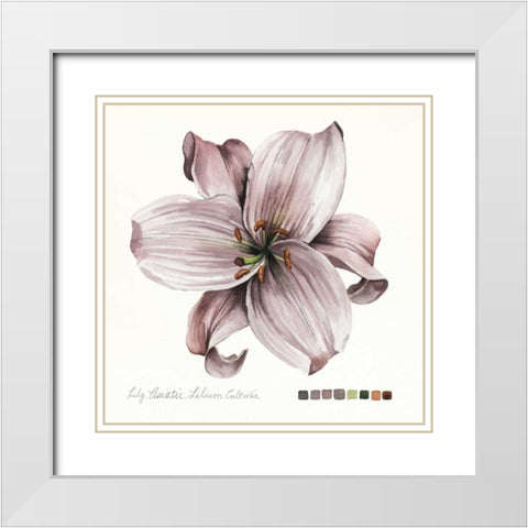 Lilium II White Modern Wood Framed Art Print with Double Matting by Popp, Grace